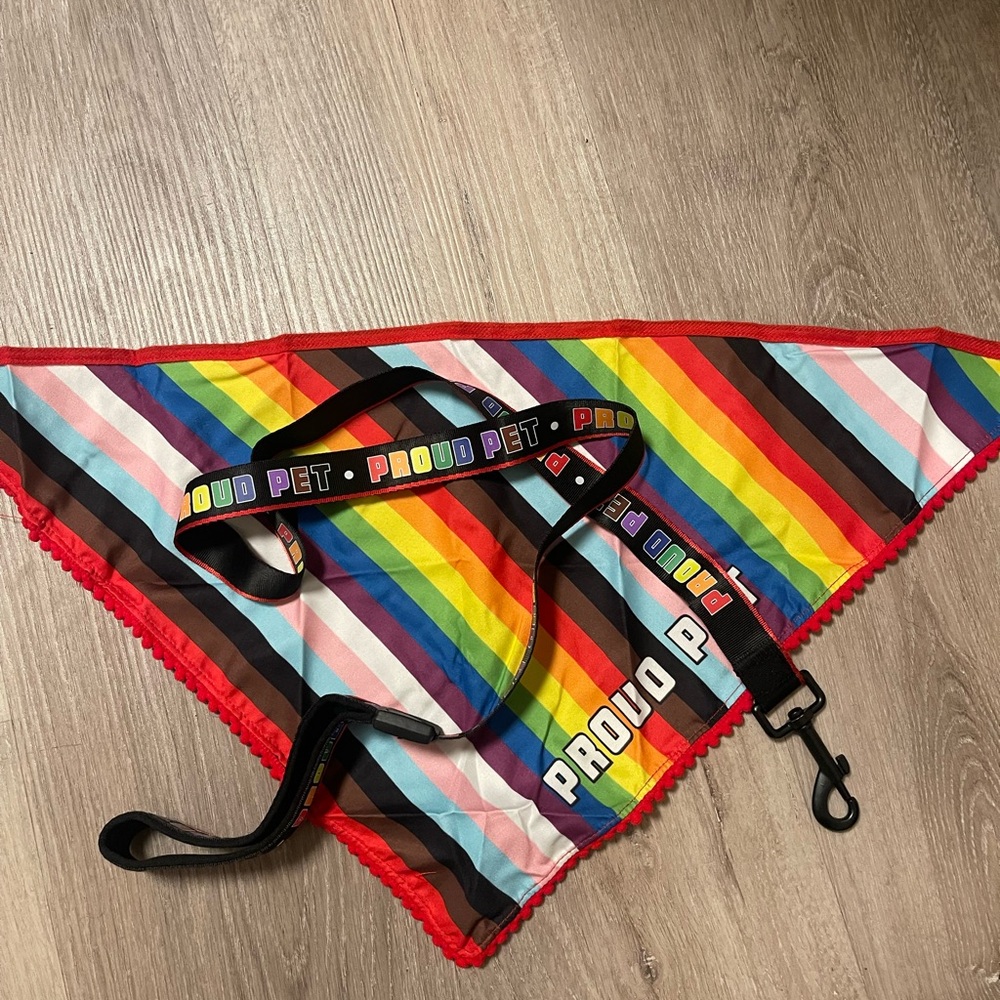 Proud Pet 🌈 leash & bandanna